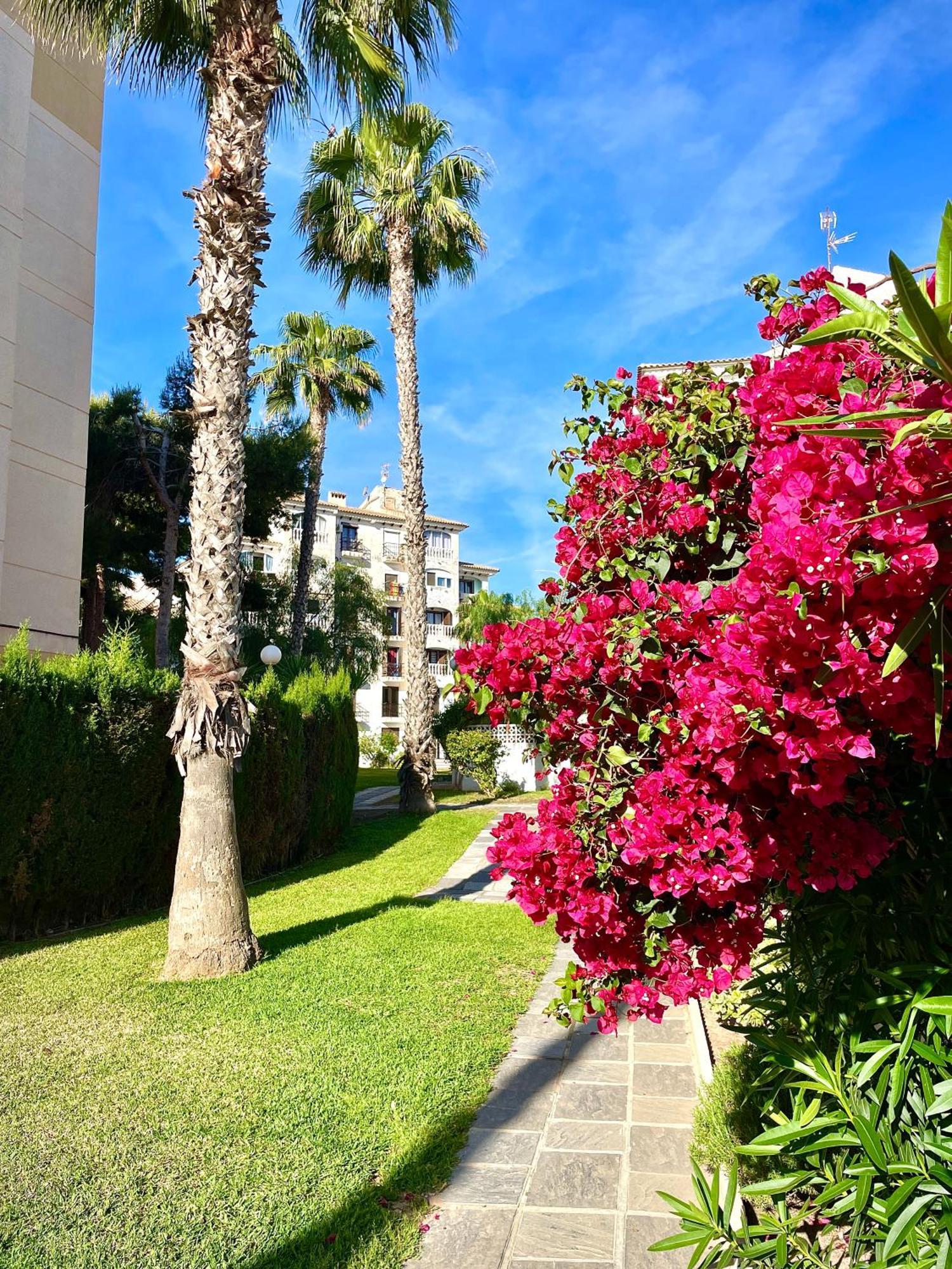 Calas Blancas Torrevieja Exterior photo